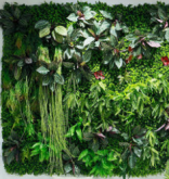 1561547876787958.png image.png