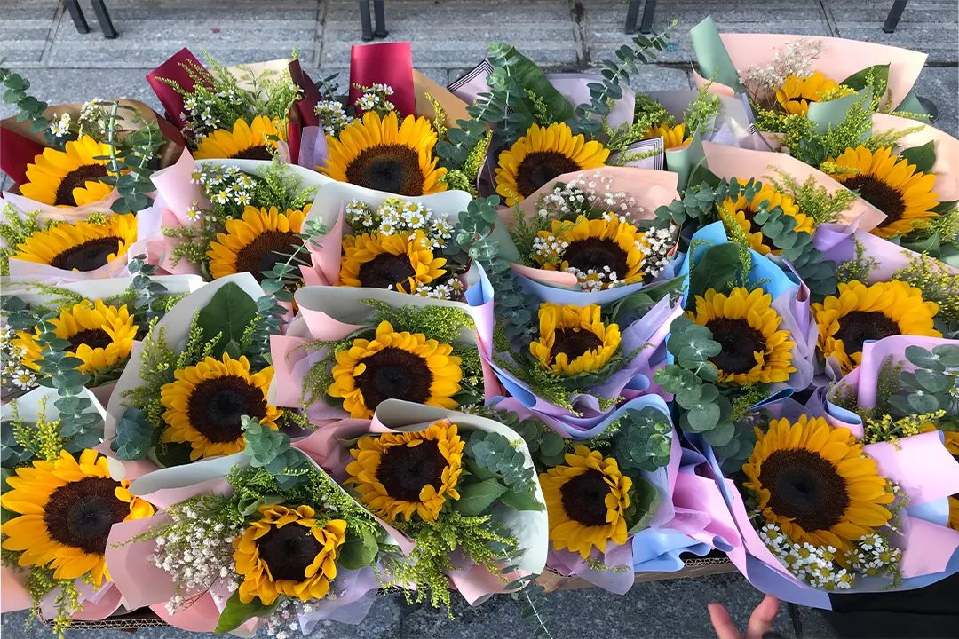 1628670171507794.jpg 圖22.jpg